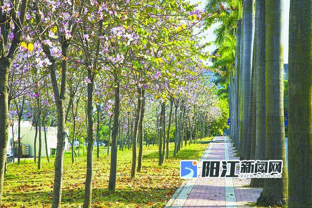 泷悦·玖宸实景样板间开放打造京西半山院居