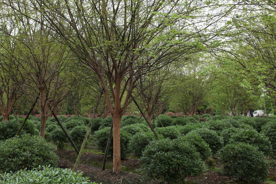 INTERNATIONAL EXHIBITION OF FLOWERS PLANTS EQUIPMENT AND MATERIALS FOR ORNAMENTAL GARDENING AND FLOWER BUSINESS