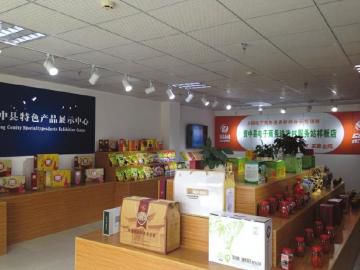 中医药文化解锁“新花样” “扁鹊故里”助力中医融入日常