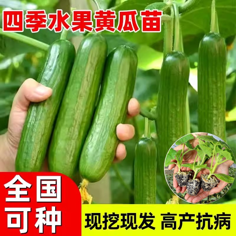汇绿生态拟1127亿元收购钧恒科技49%股权!标的公司毛利率大降经营现金流持续为负